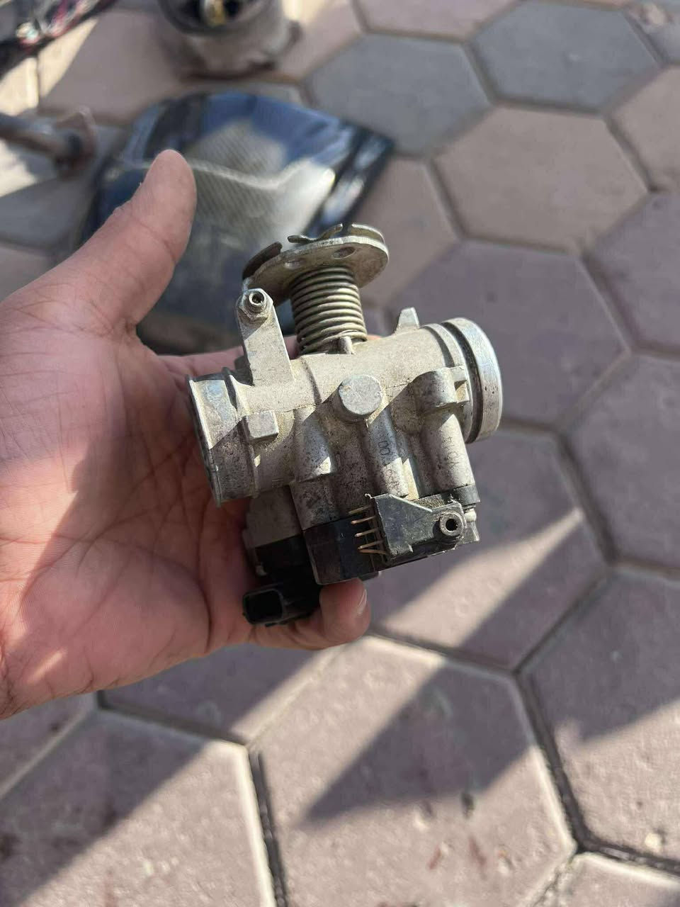 غراض سكنس جبلي للبيع
***********
