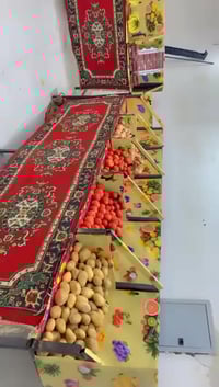 ميوزه • مخضر • الناصرية سديناوية