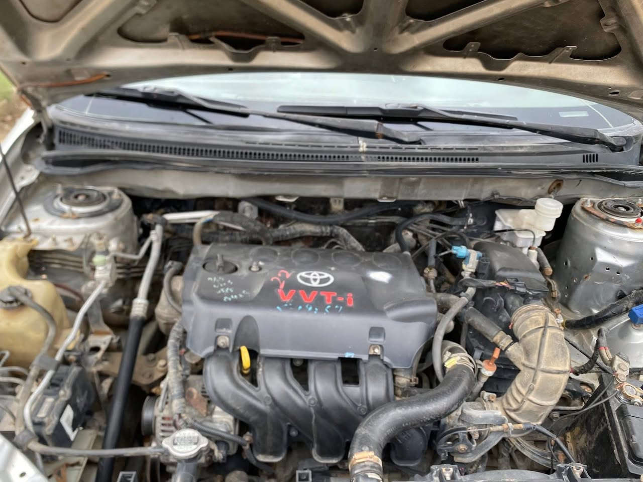 #سلاو بي واى دى
موديل 2013 
حزام بوياغ له 
سه ر كابوون نه وه 
كيروو مه كينه كرولا به شه رتى اوليات رقم بغداد فول موصفات جيكا سليمانى سعر 32 كه ميك مجال 
***********
***********
