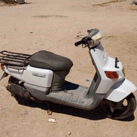 تراجل • ستوته • مجال