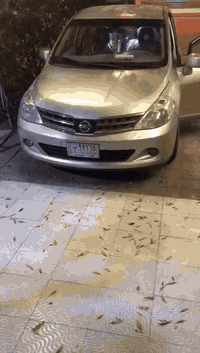 السلام عليكم من رخصة الادمن
نيسان فيرسا موديل 2009  رقم بغداد الجديد الدولي تحويل مباشر 
محرك وكير جديد
السياره بيها صبغ اماكن شكم قطعه ابيع حزام بدون دواخل 
السياره جاهزه من كلشي صدر جديد وتخم تاير جديد دوشمه كامله للكشنات 
مكان السياره الانبار الرمادي 
سعر 68
للاستفسار الاتصال
  0786 216 8655
