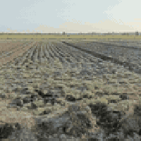 المدائن جعاره • ٢٠٠٠م • طابو سند