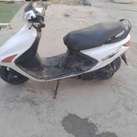فراشة • ٢٠٠ • جبلة