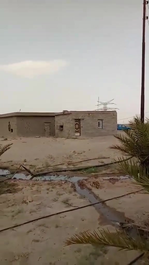 للبيع مزرعة المساحة دونمين بيهن بيت 4 غرف نوم وديوان وهول وسكف سندويج كهرباء العمود باب البيت بيهن 40 نخلة بيهن حمالات سعرهن 38 مليون مكانه طريق الخور سفوان يبعد عن التبليط مسافة كيلو ***********
