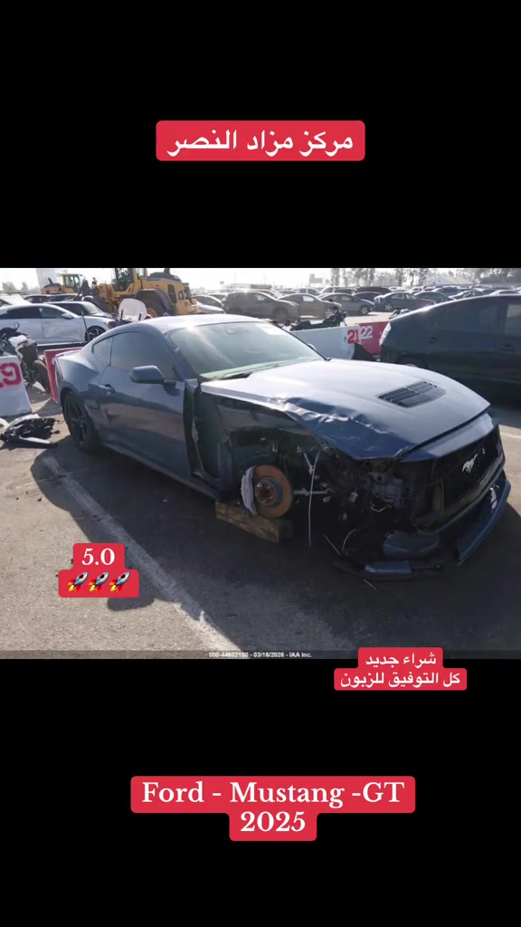 #مركز_مزاد_النصر #موستنج_جي_تي #موستنك #موستنج #الشعب_الصيني_ماله_حل😂😂 


**إذا كنت صاحب هذا الإعلان وتريد حذفه لأي سبب، رجاءا أرسل رسالة إلى الدعم الفني**