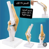 غراض منزلية • ماركات راقية • توصيل جميع المحافظات