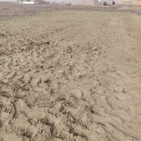 الناصرية • أرض شاغرة • قرب مستشفى القلب