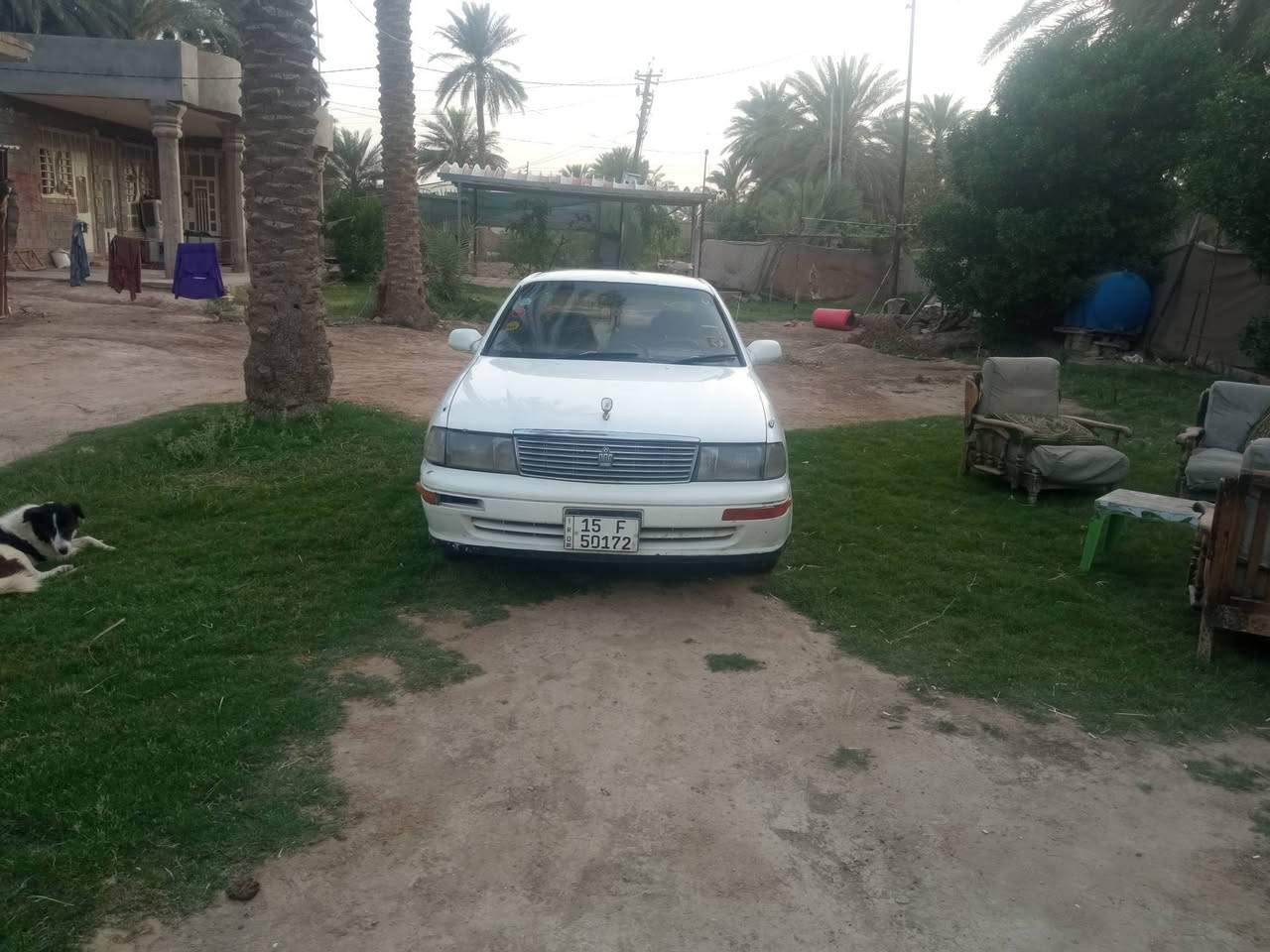 السلام عليكم بطه للبيع انبار رقم دولي باسمي موديل٩٣ مكفوله من كصه ونقل جثه مكينه وكير المكان بابل الحمزه الغربي السعر٥٠ وبيهه مجال***********

