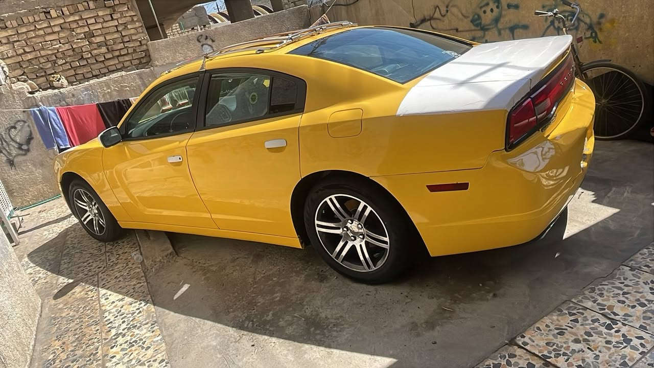 اقره تفاصيل سياره وخابر مو شراي لا يتصل ***********

سلام عليكم شباب دوج جارجر 14 اصل اصل رقم بغداد بسمي شخصين /سياره مكانه بغداد الشعب / عارضه 155 $ بيهه مجال قليل/ تفاصيل سيارة خطه بغداد/ نجف/ حادث سيارة صور موجوده مال مريكه +بل عراق صار بيه دفعه بل قبق الجنطه ولبدنه غلفيه فقط فقط/ سياره الغود شواصي حوض كله كفاله سياره ماعايزه شي كبل للشارع/ عربانه اكسل 19 / حداديه امايه خلفيه جديده تخم تاير منضومه قواعد بانزين جدد منضومه زنون / شفتات بل ستيرن كشنات حضن كير مكينه مكفولات كيره موس ويل خايجي /
