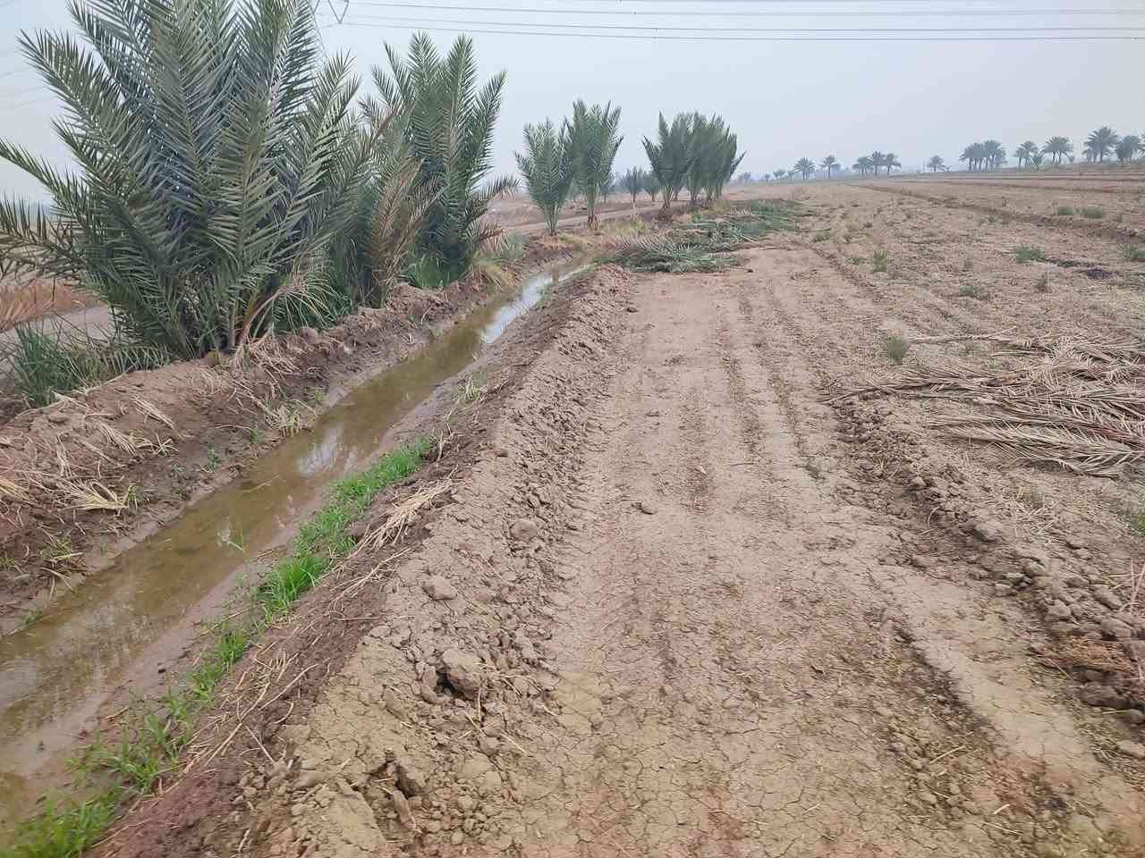 ارض زراعيه اربعه دونم بيهه نخيل مزروعه بحدود الأرض المكان طريق حله كفل تبعد عن الشارع العام اكثر من كيلو متر والفرعية تبليط مع كهرباء قرب الأرض السعر ٢٥ مليون سعر الدونم الواحد للاستفسار اتصل على الرقم
***********

