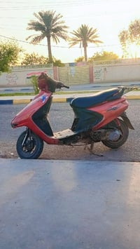 فراشة • شغاله • مكينه حلوه