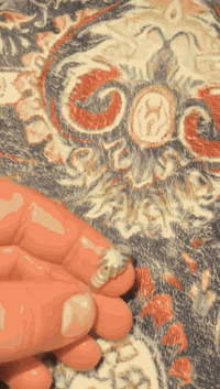 سلام عليكم كلش حلوه قديمة شكد ما تصور مكاني بغداد ام الكبر والغزلان ***********
