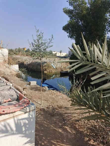 أسلام عليكم ورحمة ألله وبركاته🌹
الاستفسار : ***********

توفر أرض مع دار سكن طابقين 🏭
سنة البناء 2023
ألمساحه الكليه 600م
ركن على شارعين
كل شارع 10م
جميع لخدمات متوفره
على نهر جاري قريب على شط لعرب
يبعد مسافه 100م عن شط لعرب رئيسي

أرض حلو مرتبه مزروعه أنواع نخيل
محتويات البيت ⬇️
بستان + كراج
دوانيه
صالتين
غرف نوم عدد 6 نضام سويت
مطبخ حار بارد
صحيات خارجي وداخلي

نوع العقار : طابو زراعي ملك صرف عراقي سند 25
العنوان : البصرة ابولخصيب محيله 

السعر : 300 وبي مجال
الاستفسار : ***********
