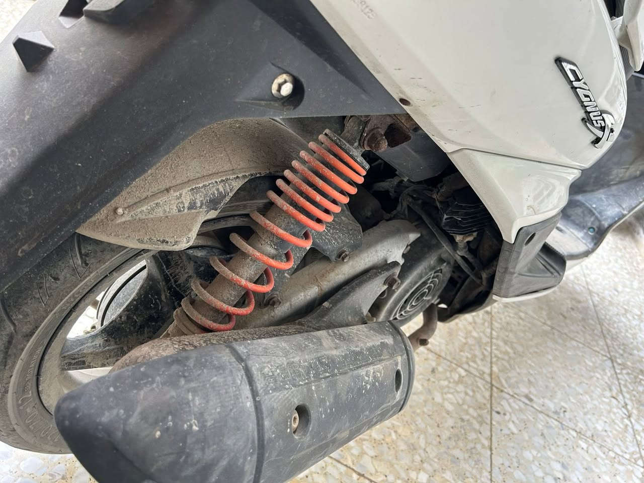 السلام عليكم دراجه  البيع سكنس  فحل لون ابيض مكفوله كفاله عامه صار اقل من شهرين منزلها رمبه اللاستفسار الاتصال على *********** او المراسله واتساب
