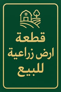 خزرج • ٣٢٥م • ماء وكهرباء وتبليط
