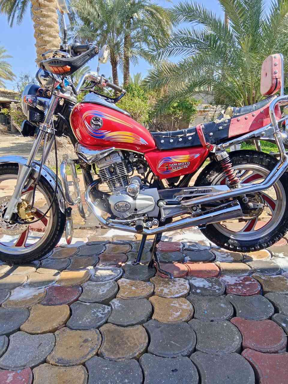 جوندا للبيع موديل 21 الدراجه كامله مكمله كل نقص ما بيها مكان الدراجه كربلاء القنطرهءسعر 650 وبيه مجال 
***********
