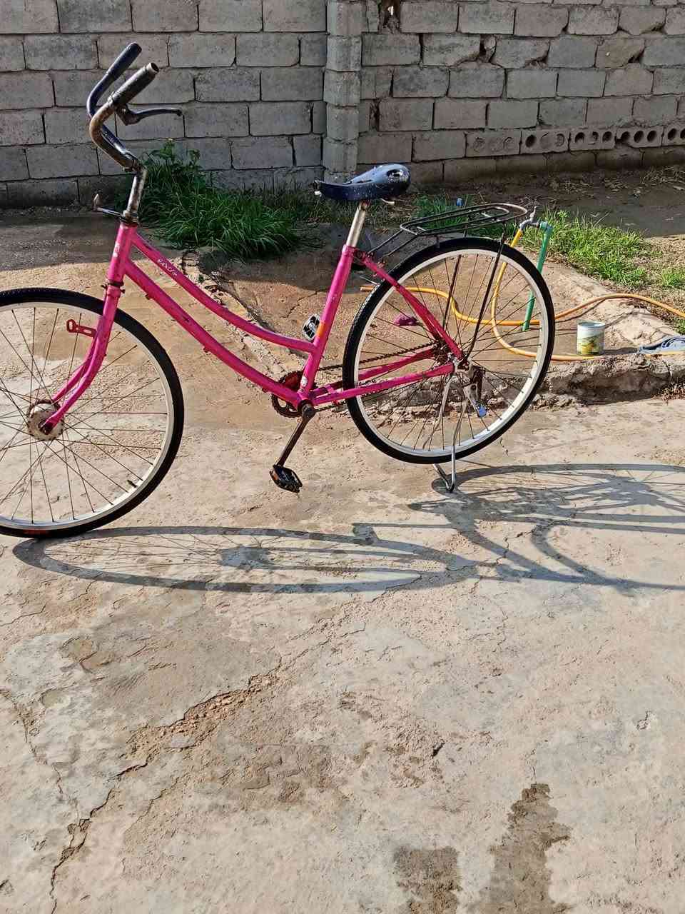 سلام عليكم بايسكل للبيع فول  المكان كربلاء طويريج الخيرات السعر 60 وبي مجال حك الجيه وبيك خير وتدلل راسلني وتدلل خاص مفتوح


**إذا كنت صاحب هذا الإعلان وتريد حذفه لأي سبب، رجاءا أرسل رسالة إلى الدعم الفني**