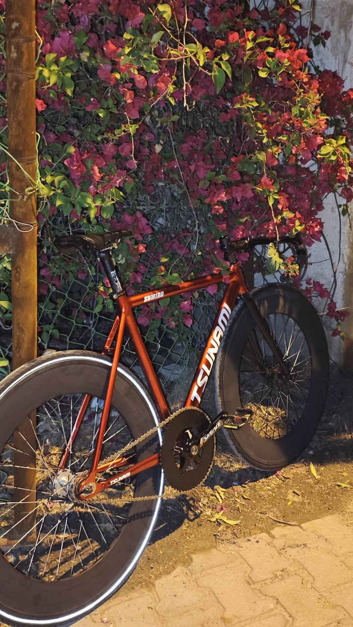 السلام عليكم
Tsunami snm100 
للبيع 
مبدئياً ركبه وستيرن وسرج وبوري سرج وماشه كاربون 
صينيه 60 سن 
الذراع سكيس حديثه 
الوياله 88mm المنيوم مع دشلي 16 سن وتاير مضيء
الويل الامامي كمبليون النكي
السعر 500 وبيها مجال للشراي فقط


**إذا كنت صاحب هذا الإعلان وتريد حذفه لأي سبب، رجاءا أرسل رسالة إلى الدعم الفني**