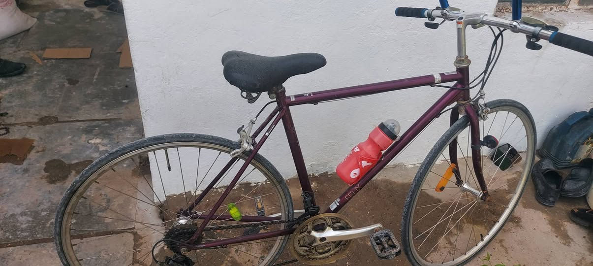 ياباني الحجم ٢٦ قياس لارج
كير امامي ٣ نمر كير خلفي ٧ نمر
قطعه ن
نضيفه وسعره مناسب
١٠٠ فقط
سريع وخفيف
مكلني بغداد الزعفرانيه بغداد, العراق


**إذا كنت صاحب هذا الإعلان وتريد حذفه لأي سبب، رجاءا أرسل رسالة إلى الدعم الفني**