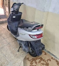 فراشه • حاويه • صارله شهرين