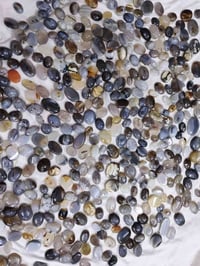 عقيق يماني شجري • اقل كمية ٢٠ • صور متوفرة