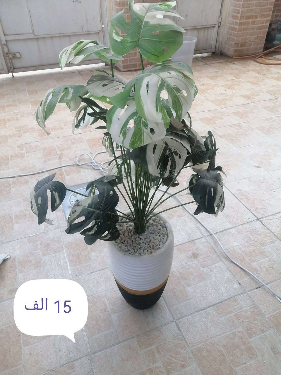 للبيع الاسعار ع الصور


**إذا كنت صاحب هذا الإعلان وتريد حذفه لأي سبب، رجاءا أرسل رسالة إلى الدعم الفني**