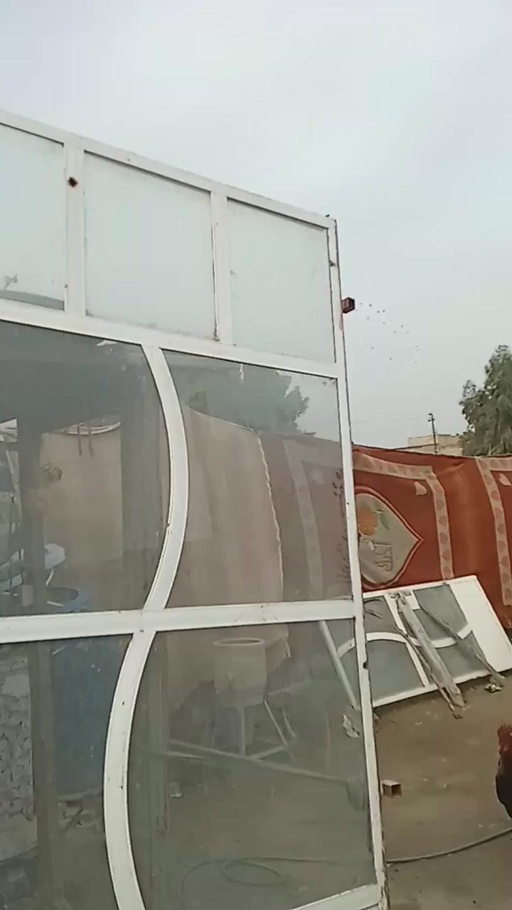 سلام عليكم باب دفتري وجيمخانه واجهية مال محل للبيع سعر 250وبيهن مجال ليريدهن هاذ رقم بي وتساب ***********
