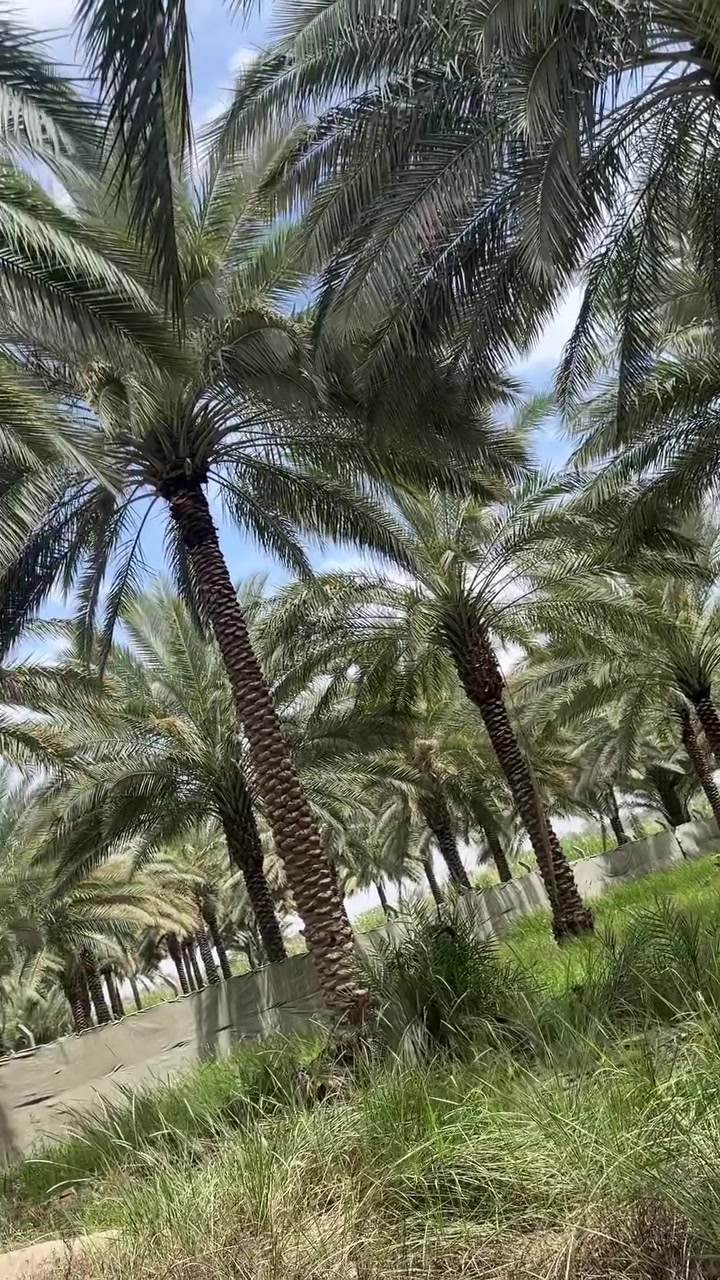 سلام عليكم
متوفر للبيع دونم سند ٢٥ تحويل اسهم 
طريق بغداد يبعد عن شارع بغداد ٣ دقايق 
يبعد عن التبليط ٢٠٠ متر 
كل التفاصيل واتساب 

***********
