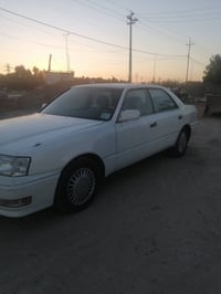 راس الثور • ٩٥ • نجف ابو صخير