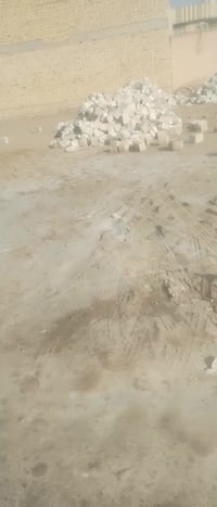 بل صخين • ٢٣٠م • وجه ١٠