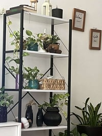 تۆکمەوشاز • السليمانية