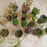 عرض خاص • ١٥ سندانه • توصيل كركوك