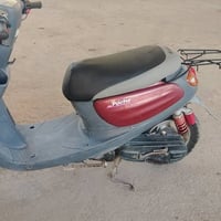 منغولي • نضيف • سلف