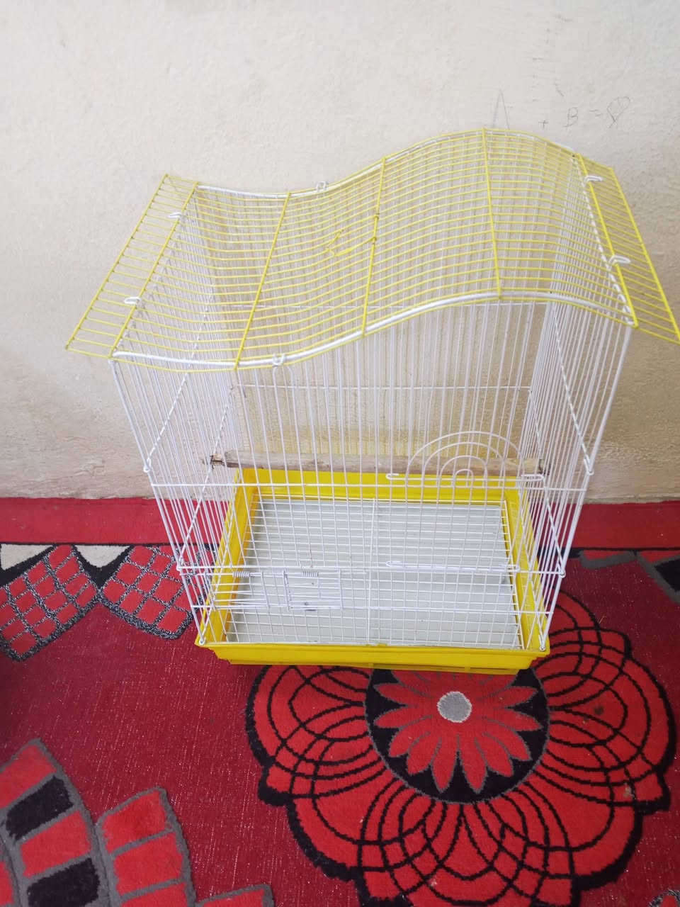 السلام عليكم قفاصه نظيفات البيع كل واحد وسعرة العنوان بغداد الحريه متواجد علئ خاص


**إذا كنت صاحب هذا الإعلان وتريد حذفه لأي سبب، رجاءا أرسل رسالة إلى الدعم الفني**