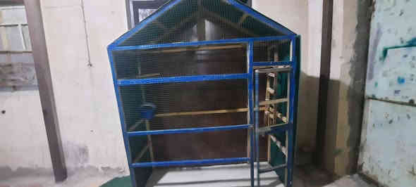 قفص للبيع
موقع حي العسكري قرب دوانيه اعباده

السعر 125 بي مجال

*********** رقم
