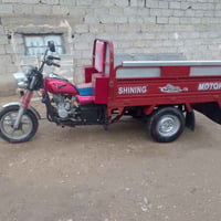 ستوته • موديل 13 • ديالى حمرين