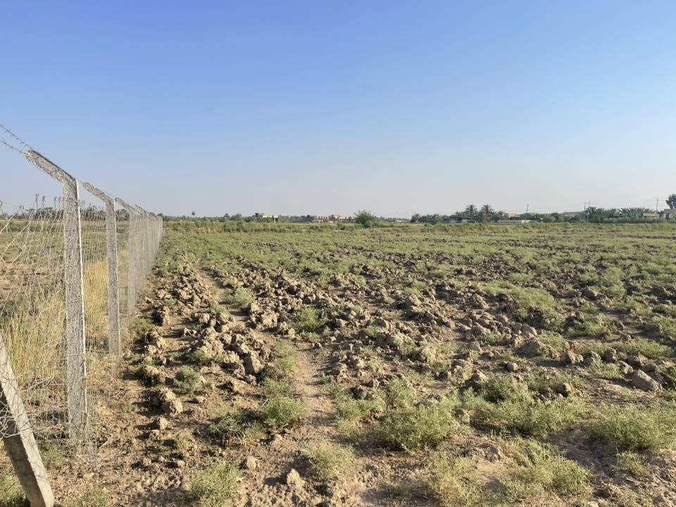 السلام عليكم دونم طابو صرف للبيع الواجهة ٣٥ متر في منطقة الرغيلة يبعد عن شارع الرغيلة الرئيسي التبليط ١٠٠ متر وبالواجهه شارع رسمي عرض ١٠ متر للاستفسار الاتصال على الرقم ***********
