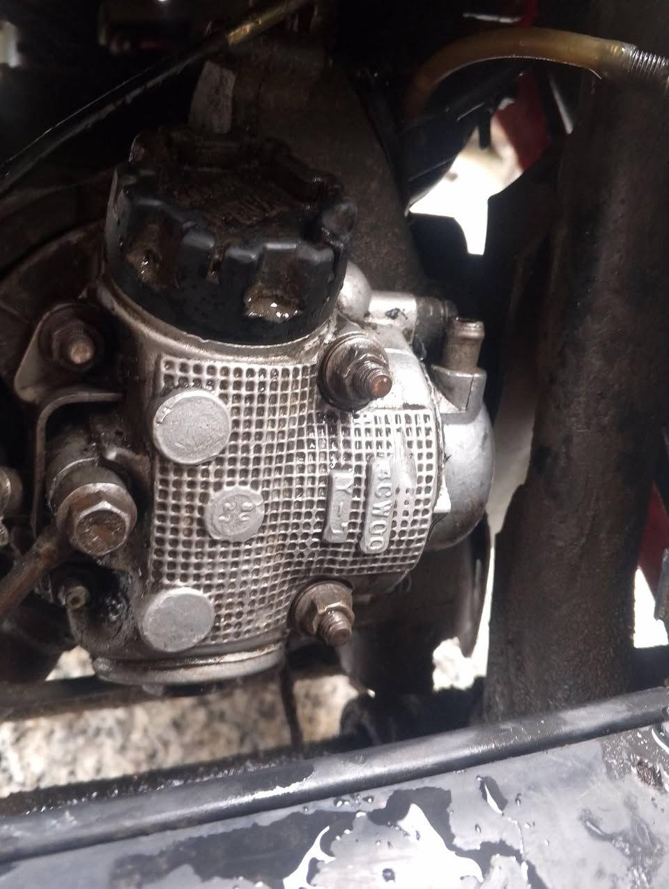 سلام عليكم دراجة فراشة للبيع مفتوحة قبل اربع تيام من مجفته مكينته ناعمه تخبل كهربائيات شغاله نقصه لايت كدام دبلات جدد كفرات جدد وكاملات مكاني البصره قضاء المدينة السعر 300 وبيه مجال قليل الاتصال عله الرقم التالي ***********
