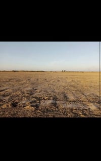 ارض زراعيه للإيجار المساحه100دونم تصلح لزراعة الجت ماء حلو متوفر مع بز...