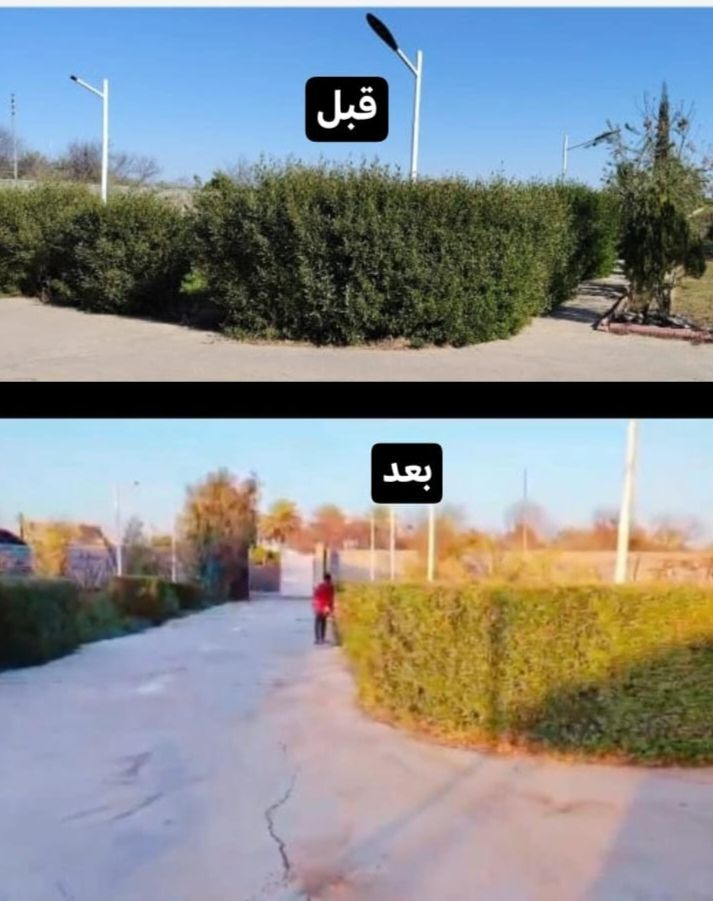 🌸 نعمل داخل بلد🫶
🌸زراعة الثيل 
🌸زراعة الاشجار 🌱🌲
🌸زراعة الورود وجميع نباتات
🌸قص الثيل وتحديدة  وترتيبها

العنوان قضاء بلد صلاح الدين ***********
نصير ابو الذهب عذرنه من التقصير حبيبي
