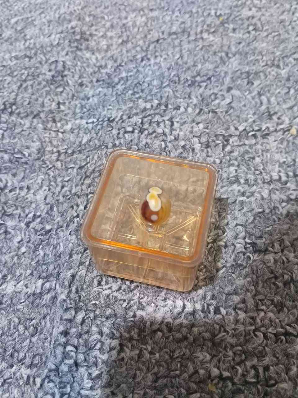 القطعة ب٥ الاف


**إذا كنت صاحب هذا الإعلان وتريد حذفه لأي سبب، رجاءا أرسل رسالة إلى الدعم الفني**