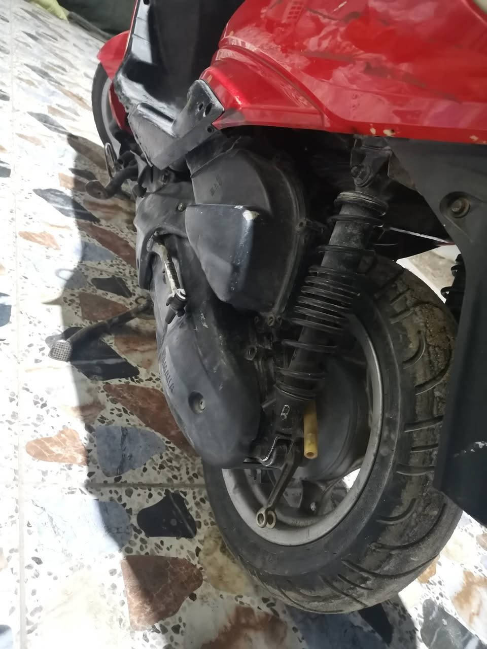 سكنس فحل ياباني للبيع السعر 325
كلجات جدد توني شادهن 
مكينه ناعمه تجي وتشوف 
الهوير شلهه الحجاج
***********
