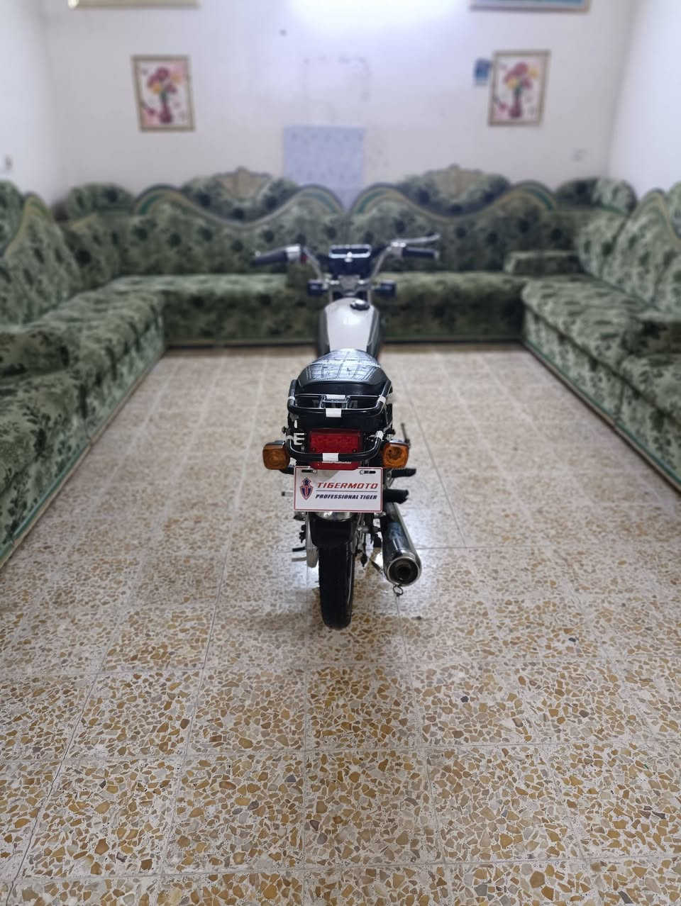نامة متياز 3حرف شبه شلامجةباب اول الدراجة جديدة حيل محرك مكفول اوراق كاملة الدرجة مكفولة من كلشي السعر 575مكاني بابل محاويل رقم الهاتف ***********
