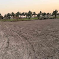 بابل الحمزه الغربي • حي الزكندري • ١٠٠٠م