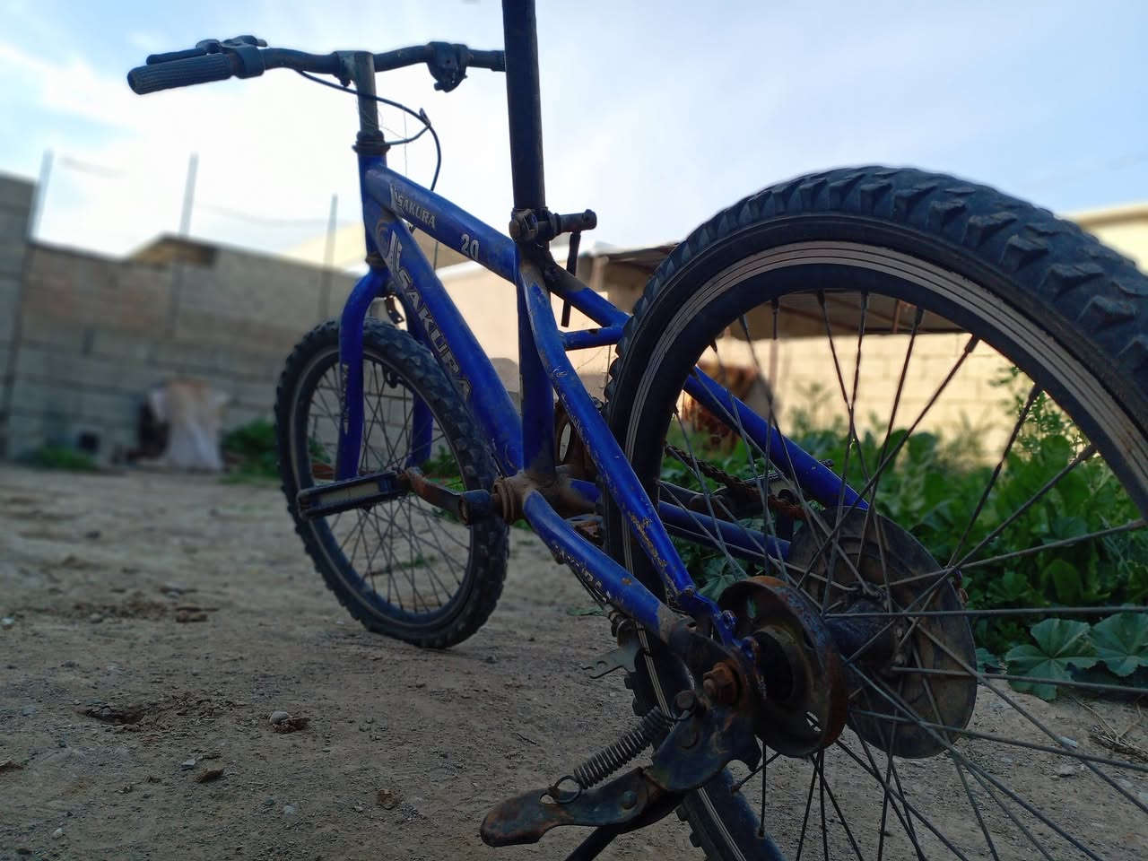 السلام عليكم باسكيل ياباني نظيف للبيع السعر 10


**إذا كنت صاحب هذا الإعلان وتريد حذفه لأي سبب، رجاءا أرسل رسالة إلى الدعم الفني**