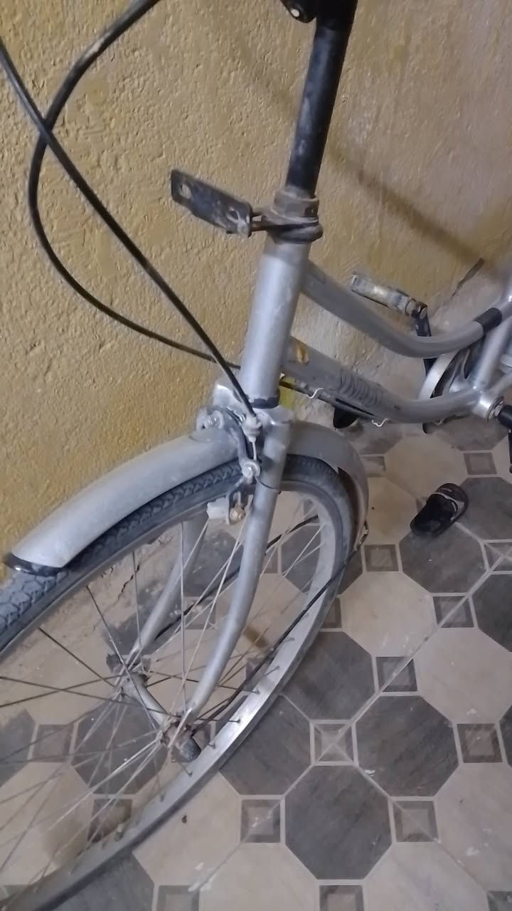 باسكل للبيع حجم 26 سعر خاص


**إذا كنت صاحب هذا الإعلان وتريد حذفه لأي سبب، رجاءا أرسل رسالة إلى الدعم الفني**