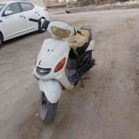 دولفين • شغاله • مجال بسيط