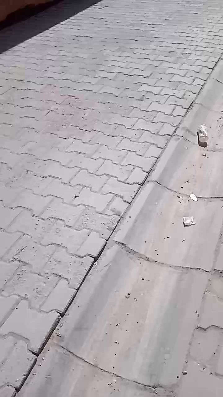 السلام عليكم
بيت للبيع بنزلة جامع الغرير ثالث فرع باتجاه مدرسه الكرفانات بيت نظيف اساس رفت طابق واحد ثاني بيت بالفرع عالي عن الشارع حوالي ربع متر للاستفسار أكثر اتصال على الرقم *********** واكو وات ساب
