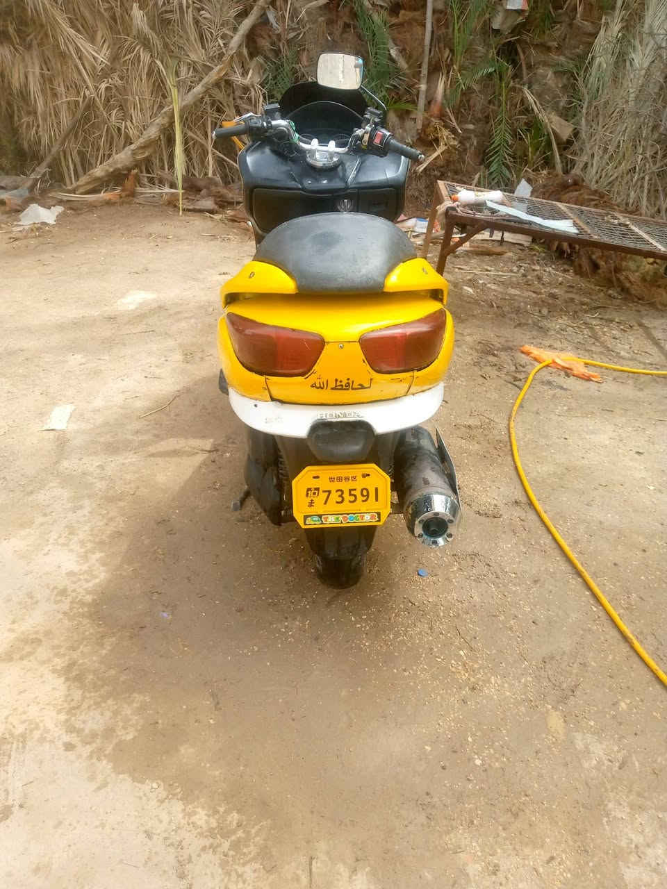 فورزه صفر8 ابيع أو مراوس حسب لقناعه العنوان عفك


**إذا كنت صاحب هذا الإعلان وتريد حذفه لأي سبب، رجاءا أرسل رسالة إلى الدعم الفني**