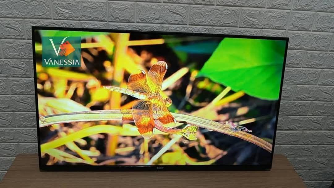 Télévision  43P Simple Marque Géant
Télévision 43P Marque Géant Simple

✅slim design
✅Frameless
✅full HD TV
✅ 2 port USB
✅4 port HDMI
✅ Ecomenisateur d'énergie
✅️Prix 26.500da الشلف, الجزائر


**إذا كنت صاحب هذا الإعلان وتريد حذفه لأي سبب، رجاءا أرسل رسالة إلى الدعم الفني**